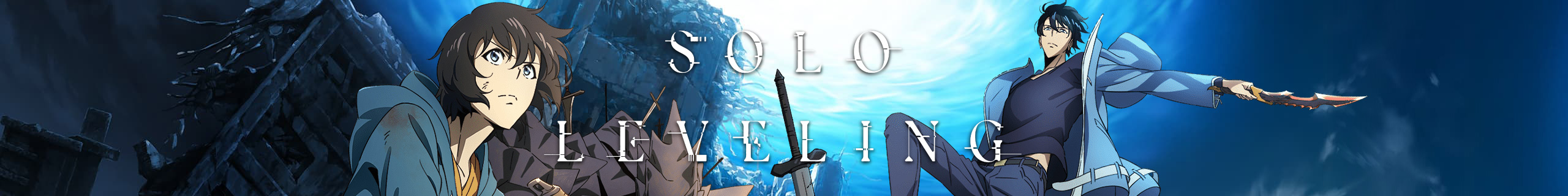 Solo Leveling Banner